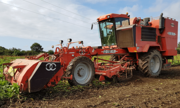 88e83411-4b0e-4aa2-973f-bde1bc27e833 88e83411-4b0e-4aa2-973f-bde1bc27e833