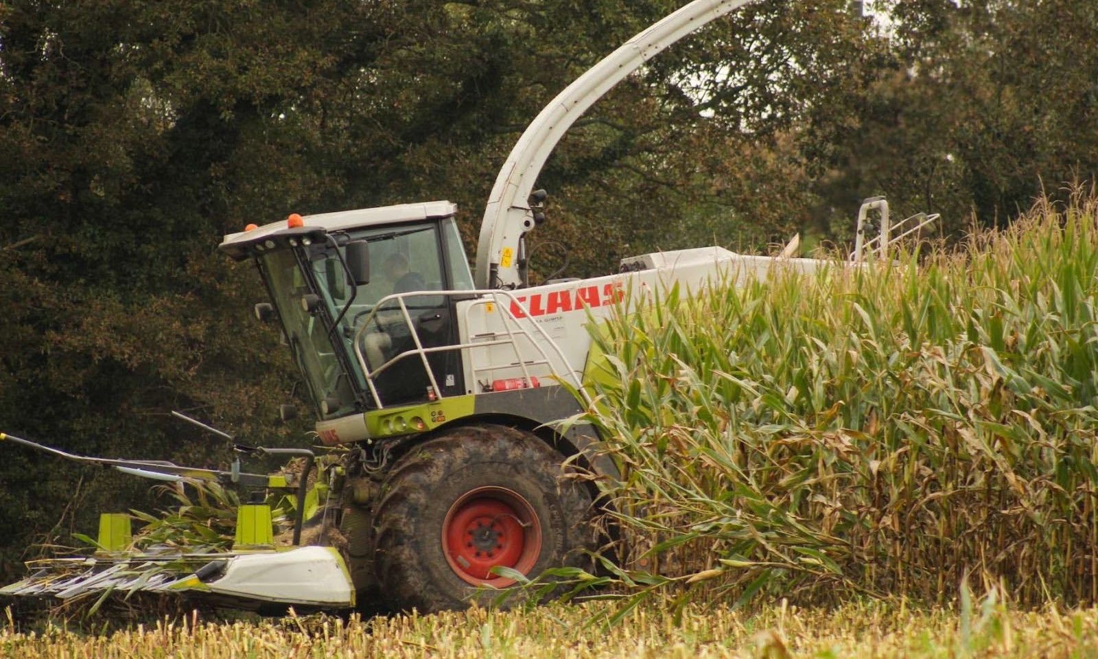 unnamed (4) unnamed (4)