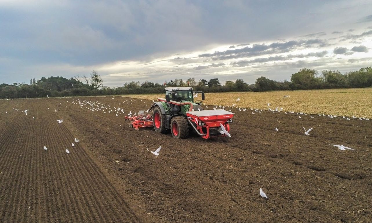 unnamed (7) unnamed (7)